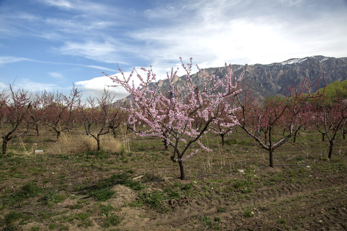 Farmers Almanac predicts Utah to stay dry this winter News, Sports